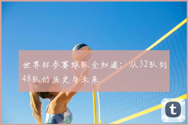 世界杯参赛球队全知道：从32队到48队的历史与未来