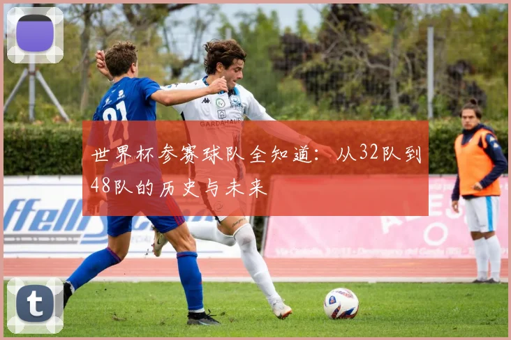 世界杯参赛球队全知道：从32队到48队的历史与未来