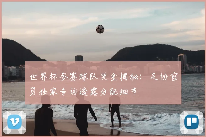 世界杯参赛球队奖金揭秘:足协官员独家专访透露分配细节
