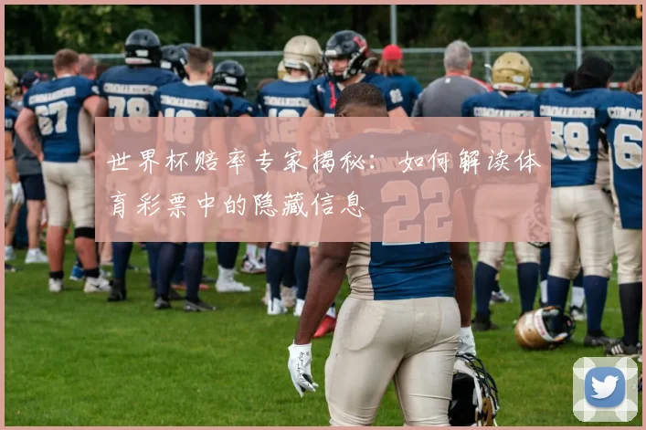 世界杯赔率专家揭秘:如何解读体育彩票中的隐藏信息