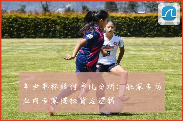 年世界杯赔付率比分析：独家专访业内专家揭秘背后逻辑