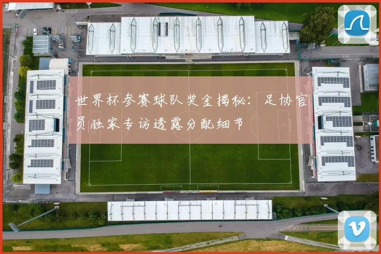 世界杯参赛球队奖金揭秘:足协官员独家专访透露分配细节
